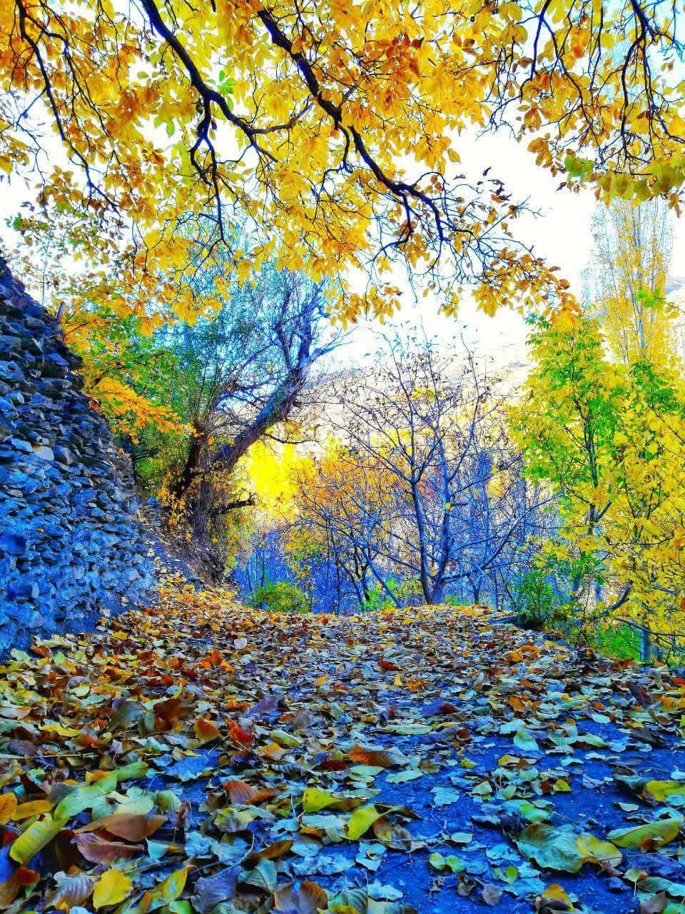 طبیعت پاییزی اورامانات