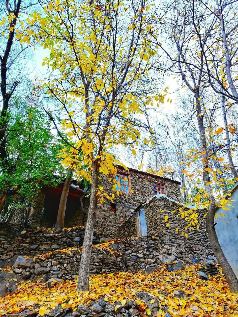 هنر پاییز ،برگ های رنگارنگ