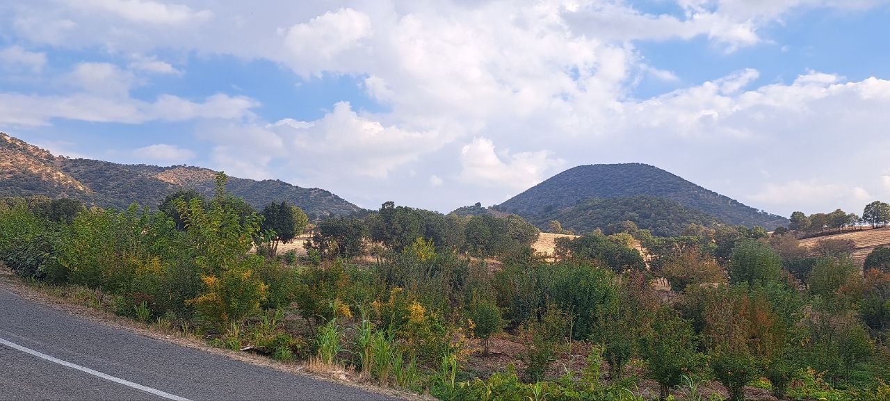 طبیعت پاییزی