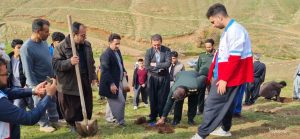 کاشت یکهزارو 500 بذر بلوط وبادام در جوانرود