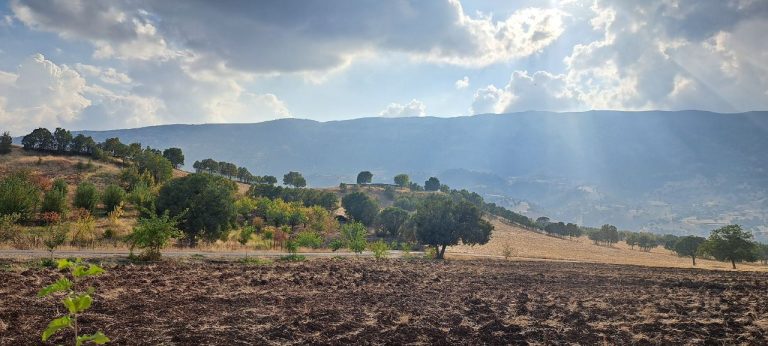 پاییز جوانرود