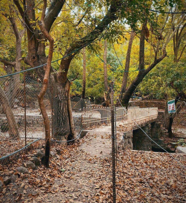 پاییز دل انگیز