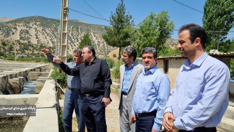 بازدید رئیس سازمان شیلات کشور از مزارع پرورش ماهی شهرستان جوانرود