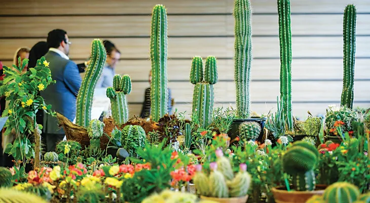 آغاز نمایشگاه «گل و گیاه» در کرمانشاه