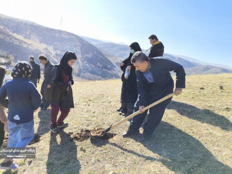 اجرای پویش درختکاری در سایه مادر در شهرستان جوانرود