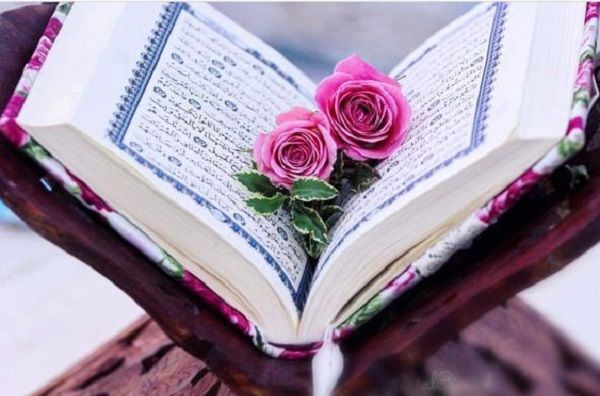 ترجمه و تفسیر آیه ۱۸ سوره فتح