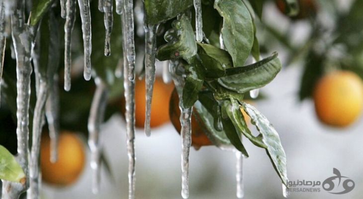 کرمانشاه زمستانی سردتر از پارسال دارد