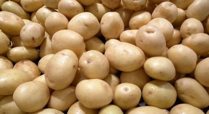 ورود تعزیرات کرمانشاه به التهاب بازار سیبزمینی