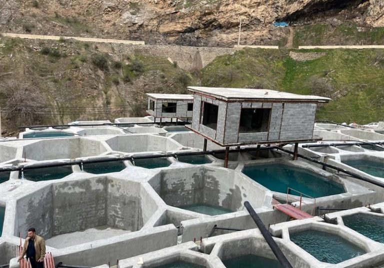 نخستین مجتمع پرورش ماهیان تمام مکانیزه کرمانشاه افتتاح شد