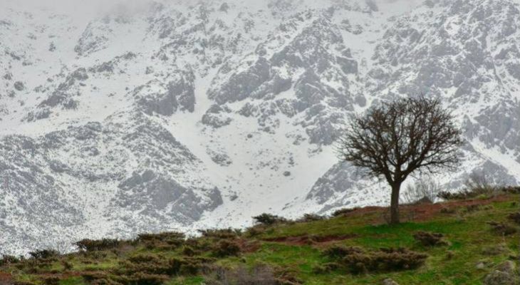 بهار کُردی روایتی اسطورهای از تغییر فصلها