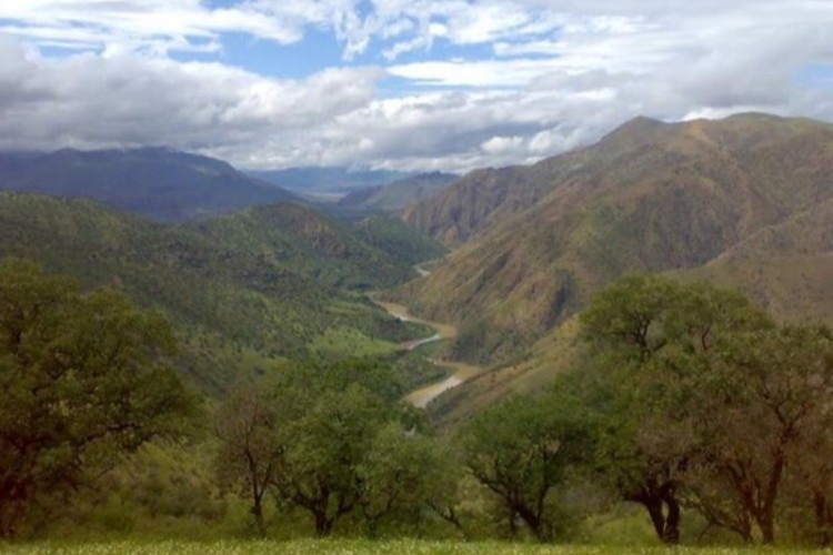 بوزین و مرهخیل؛ از درختان ۳۰۰ ساله تا زیستگاه منحصر بفرد «شوکا»