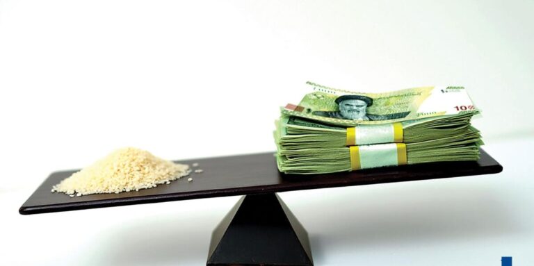 راهحل کنترل قیمت برنج صرفاً تخصیص یا حذف ارز ترجیحی نیست