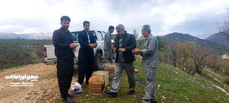 کشف دو قبضه اسلحه و تعدادی کبک زنده در منزل دو متخلف در روستای سررود